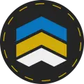 multipixels